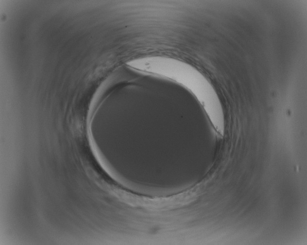 X0000078240039200612011615