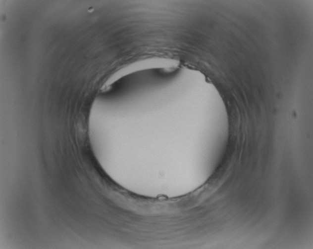 X0000078240040200612011615