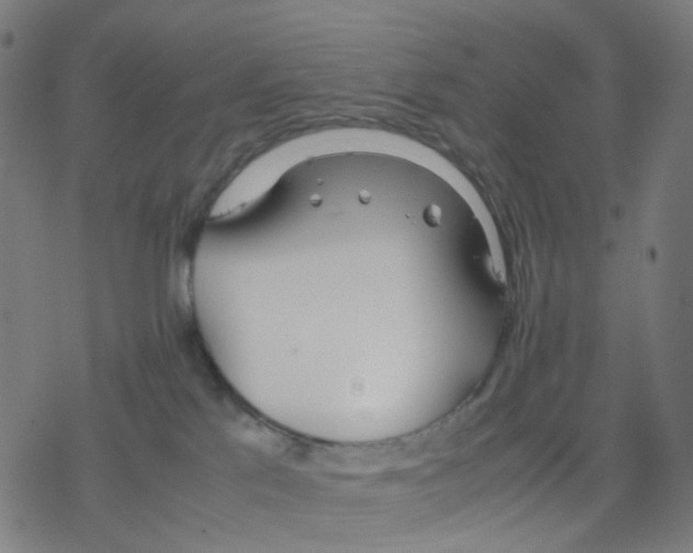 X0000078240041200612011615