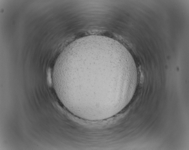 X0000078240042200612011615