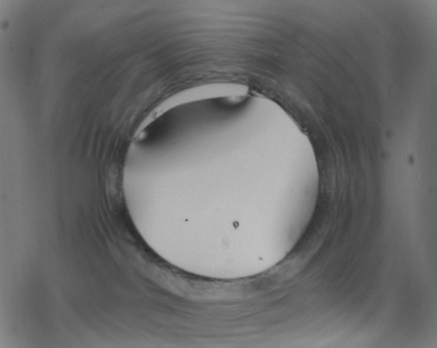 X0000078240044200612011615