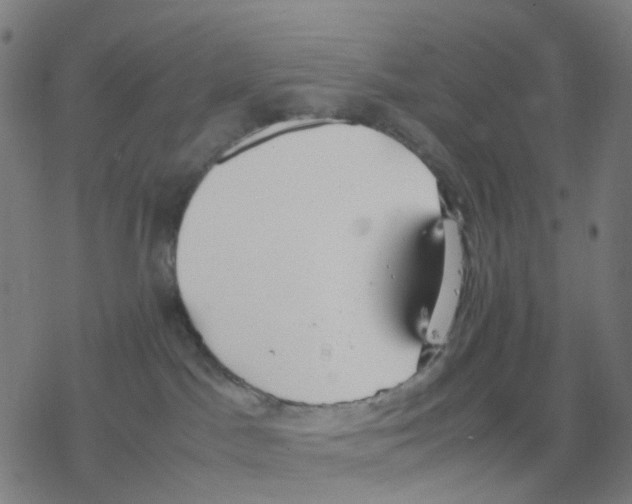 X0000078240045200612011615