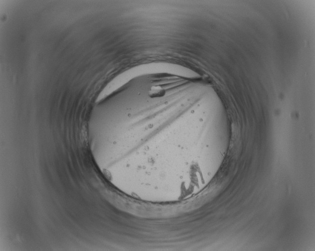 X0000078240048200612011615