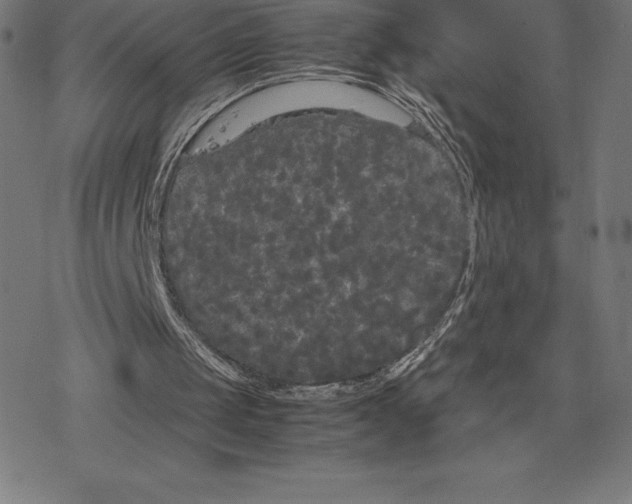 X0000078240049200612011615