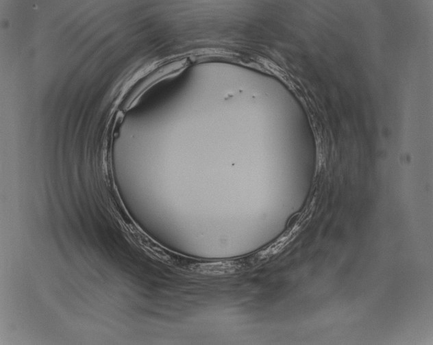 X0000078240050200612011615