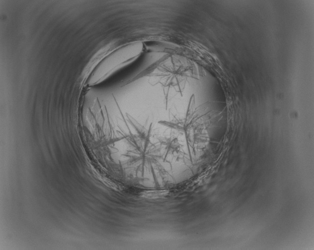 X0000078240051200612011615