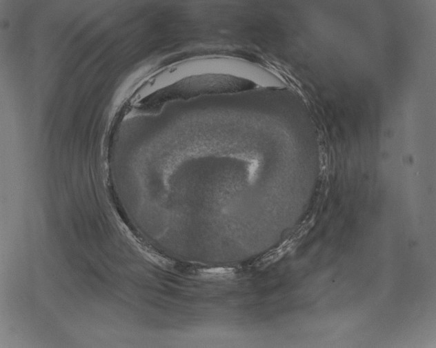 X0000078240053200612011615