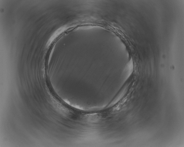 X0000078240054200612011615