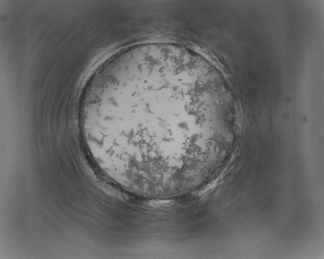 X0000078240055200612011615