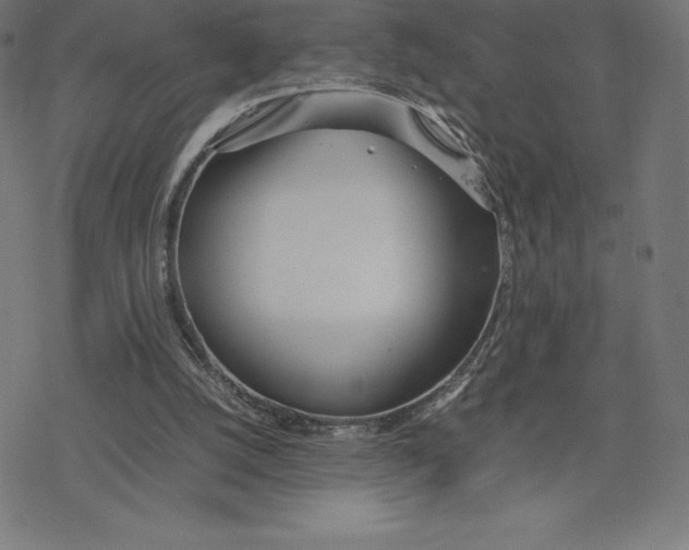 X0000078240056200612011615