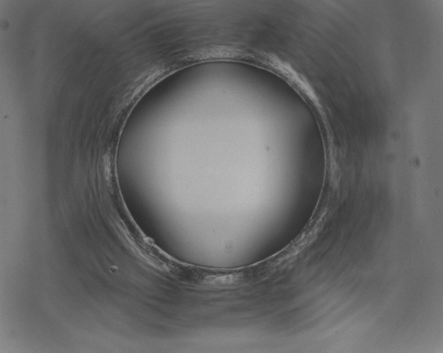 X0000078240057200612011615