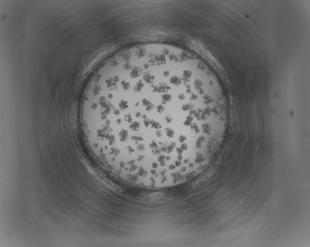 X0000078240058200612011615