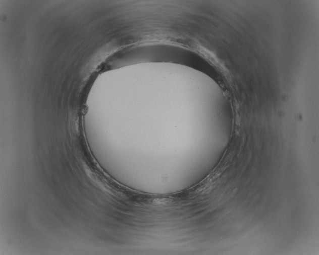 X0000078240060200612011615