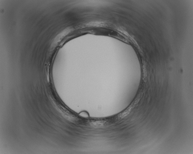 X0000078240062200612011615