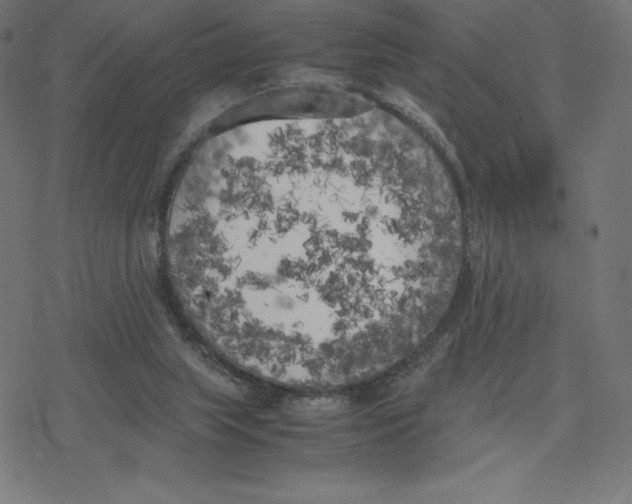 X0000078240063200612011615