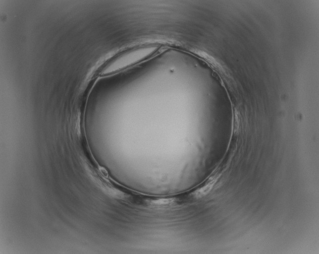 X0000078240064200612011615