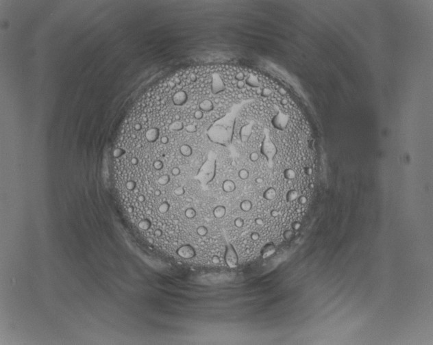 X0000078240065200612011615