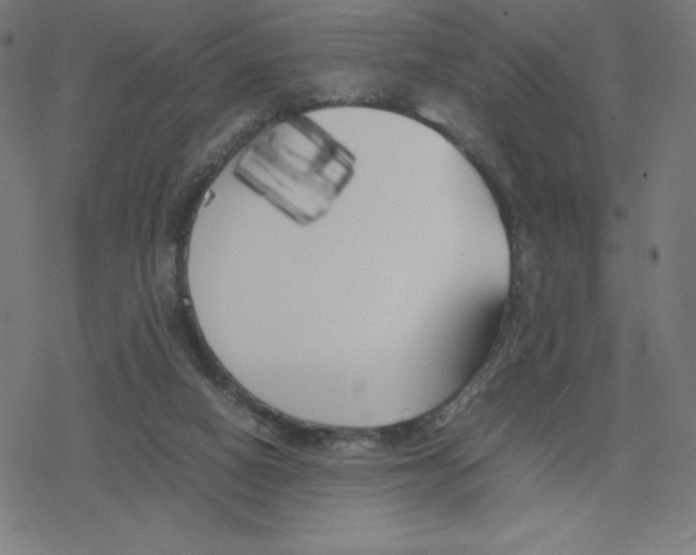 X0000078240066200612011615