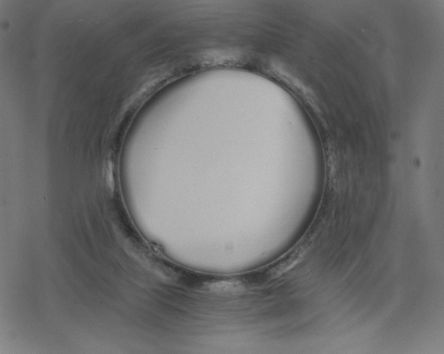 X0000078240067200612011615