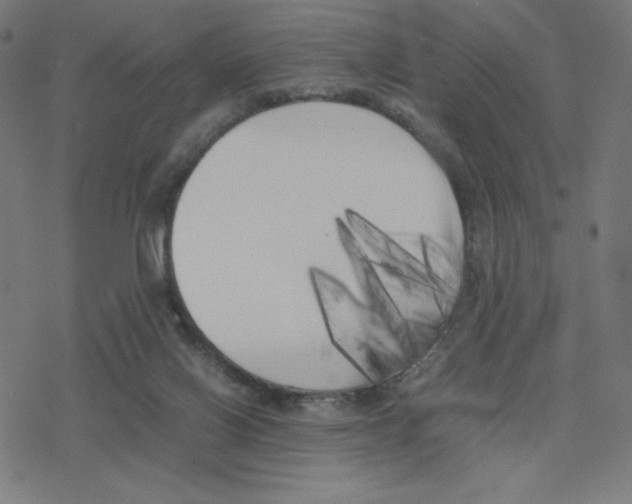 X0000078240070200612011615