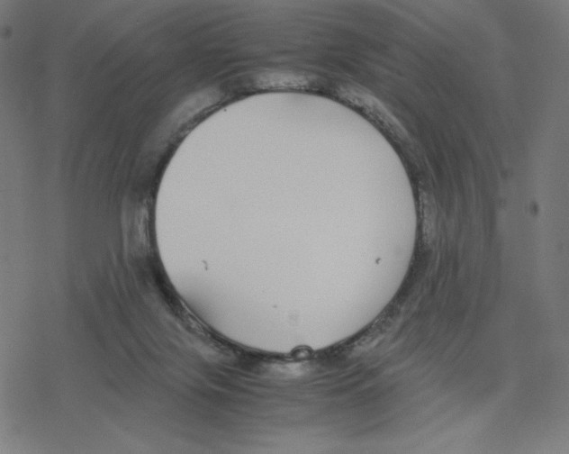 X0000078240071200612011615