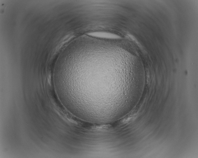 X0000078240072200612011615