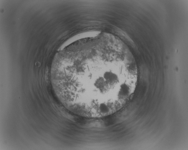 X0000078240073200612011615