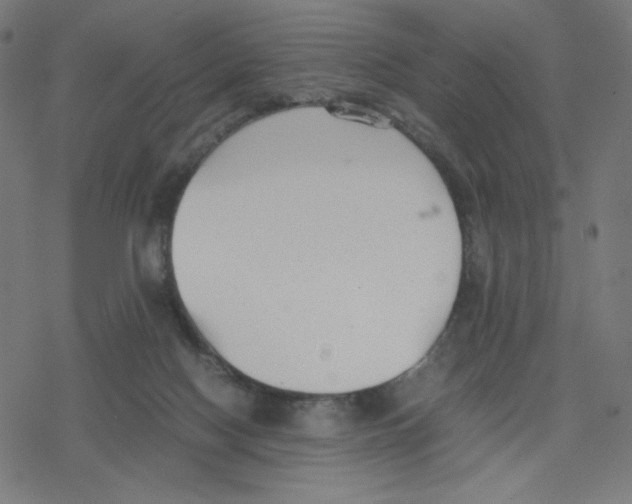 X0000078240074200612011615