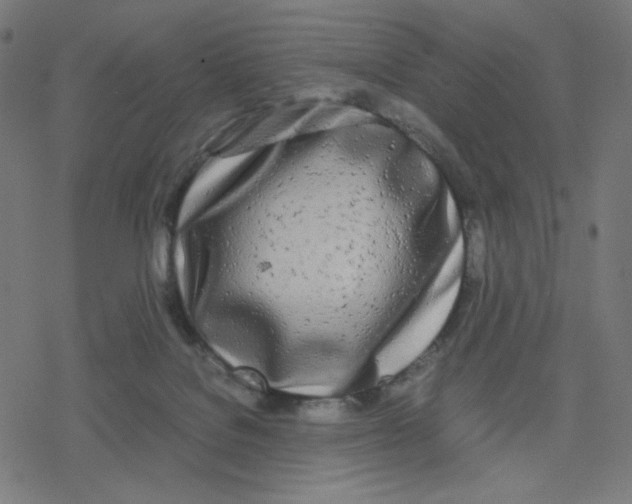 X0000078240076200612011615