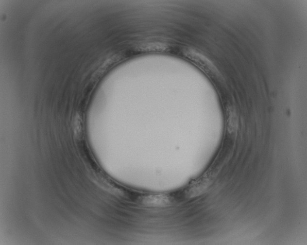 X0000078240077200612011615