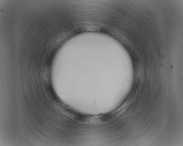 X0000078240078200612011615