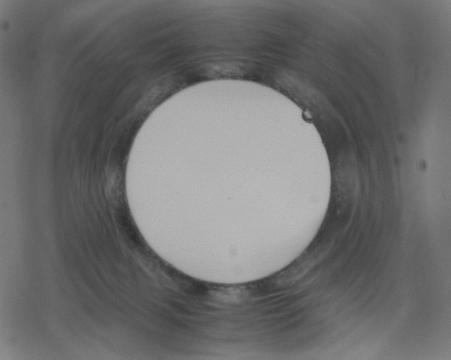 X0000078240079200612011615