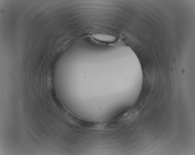 X0000078240080200612011615