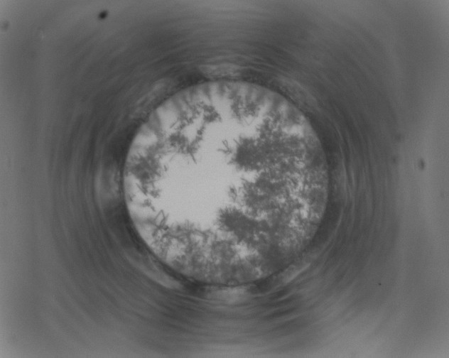 X0000078240081200612011615