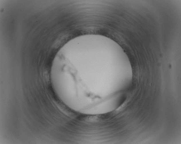 X0000078240086200612011615