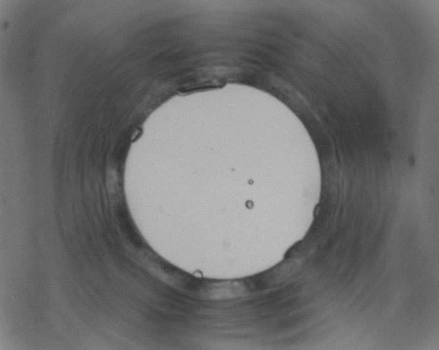 X0000078240087200612011615