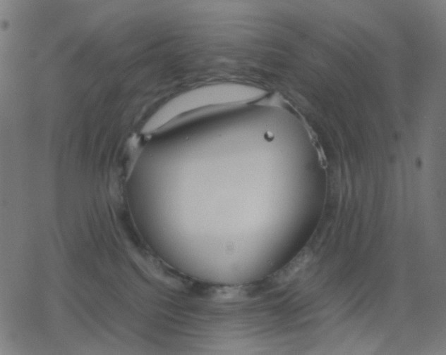 X0000078240088200612011615