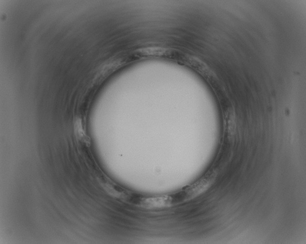 X0000078240089200612011615