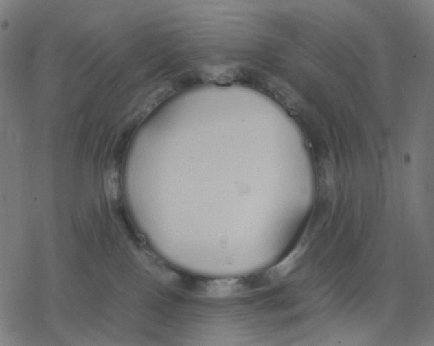 X0000078240090200612011615