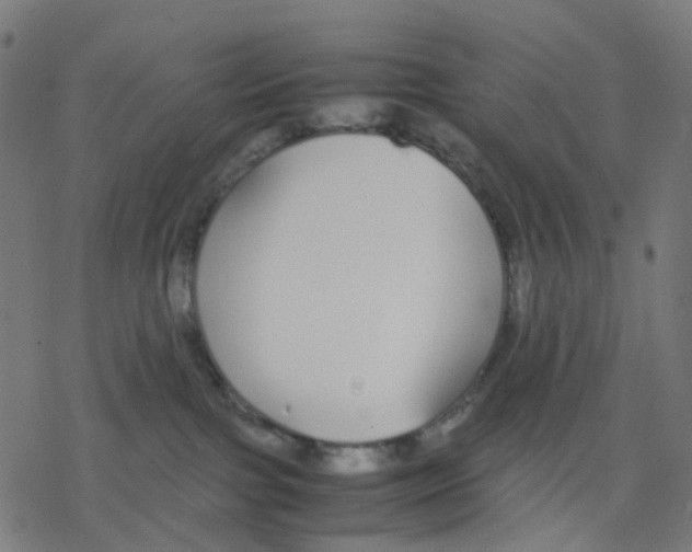 X0000078240091200612011615