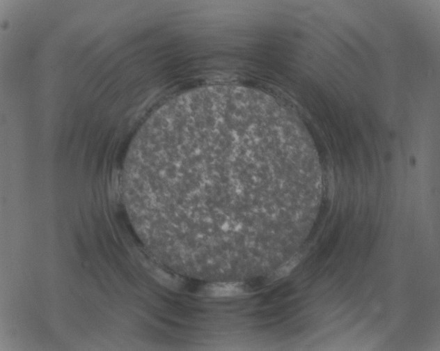 X0000078240093200612011615