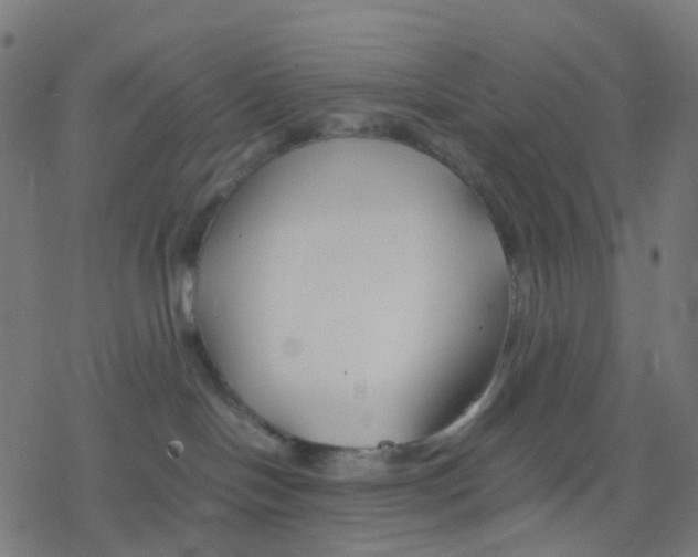 X0000078240094200612011615