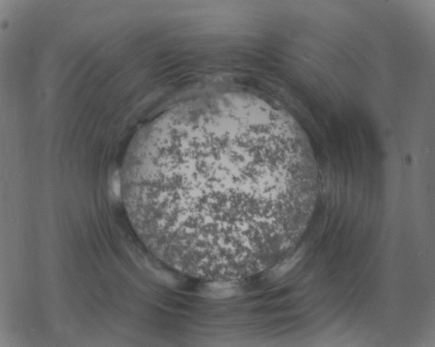 X0000078240095200612011615