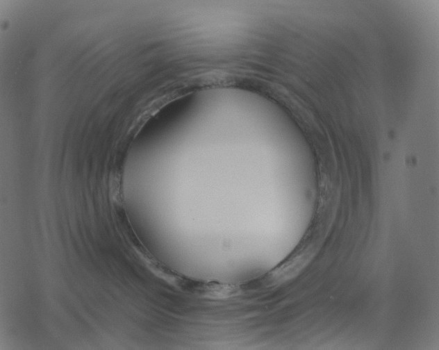 X0000078240096200612011615