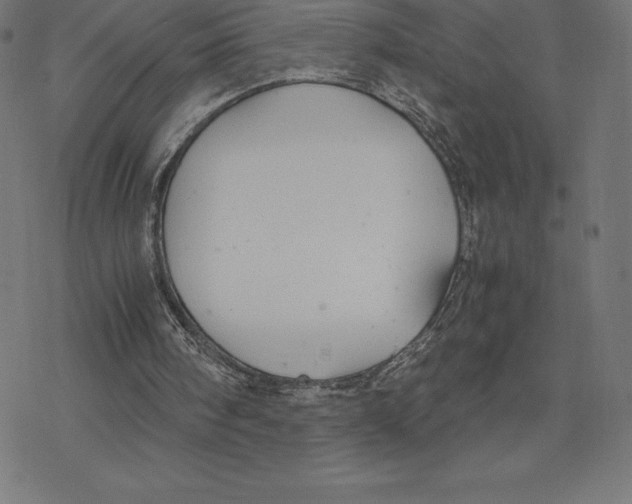 X0000078240098200612011614