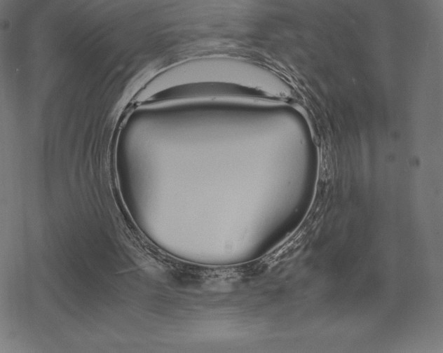 X0000078240099200612011614