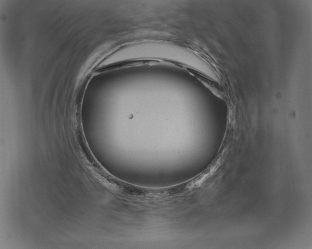 X0000078240101200612011614