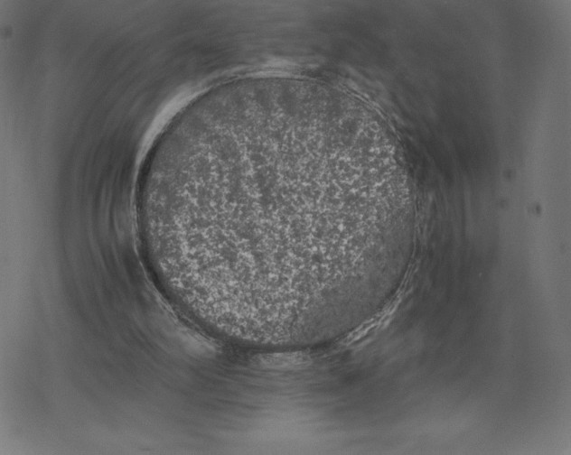 X0000078240102200612011614