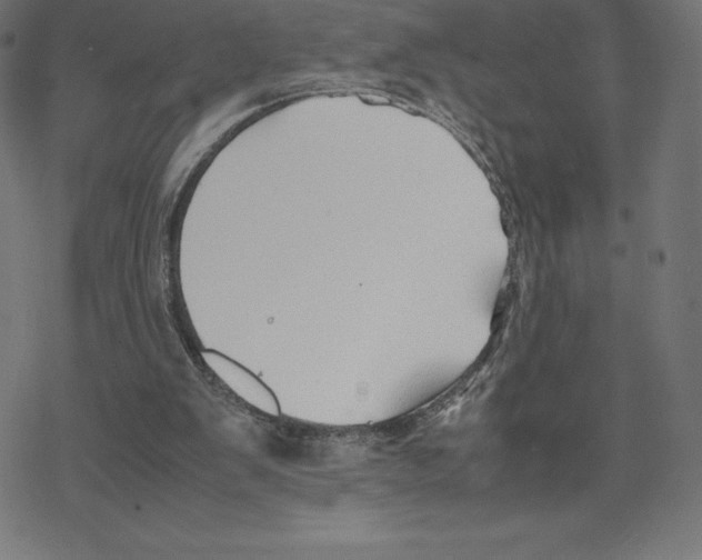 X0000078240103200612011614