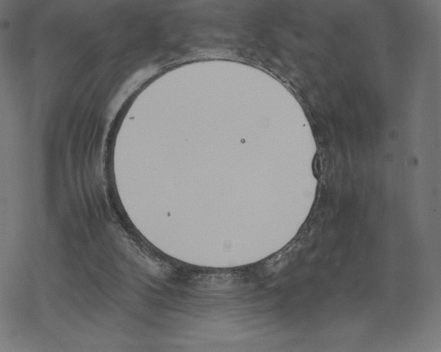 X0000078240104200612011614